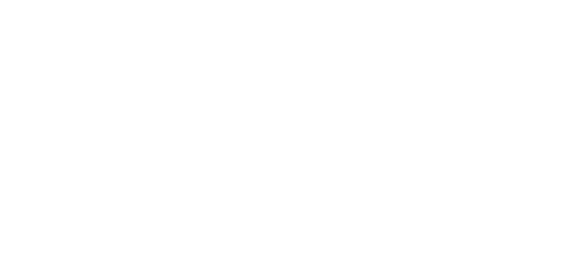 Shopify Plus Partner Logo